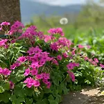 Le Spine Sulla Via Francigena