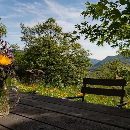 Le Spine Sulla Via Francigena Berceto
