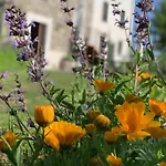 Le Spine Sulla Via Francigena 3*