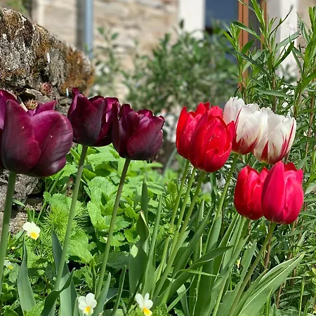 فندق مبيت وإفطار Le Spine Sulla Via Francigena بيرسيتو