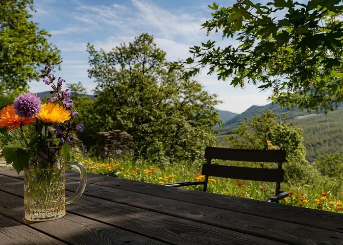 Le Spine Sulla Via Francigena Berceto