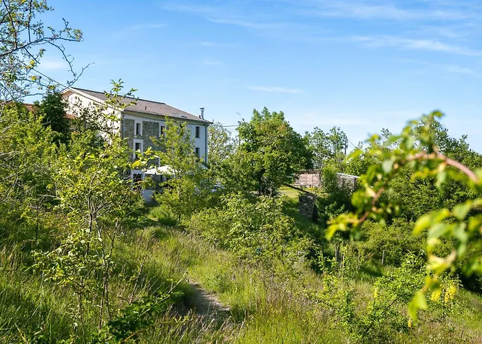 Le Spine Sulla Via Francigena