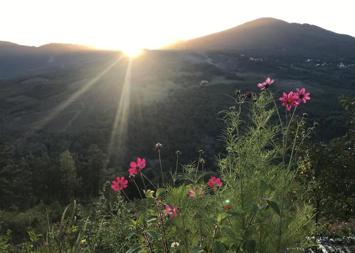 Le Spine Sulla Via Francigena Berceto
